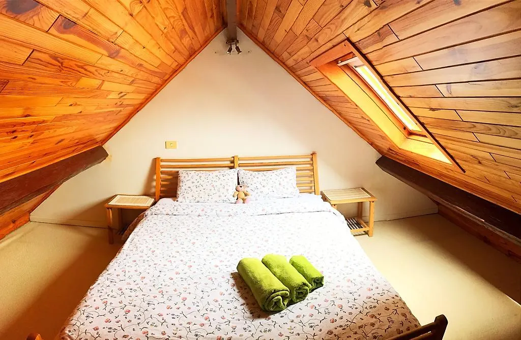 B&B Ambiorix Birch House Bruxelles
