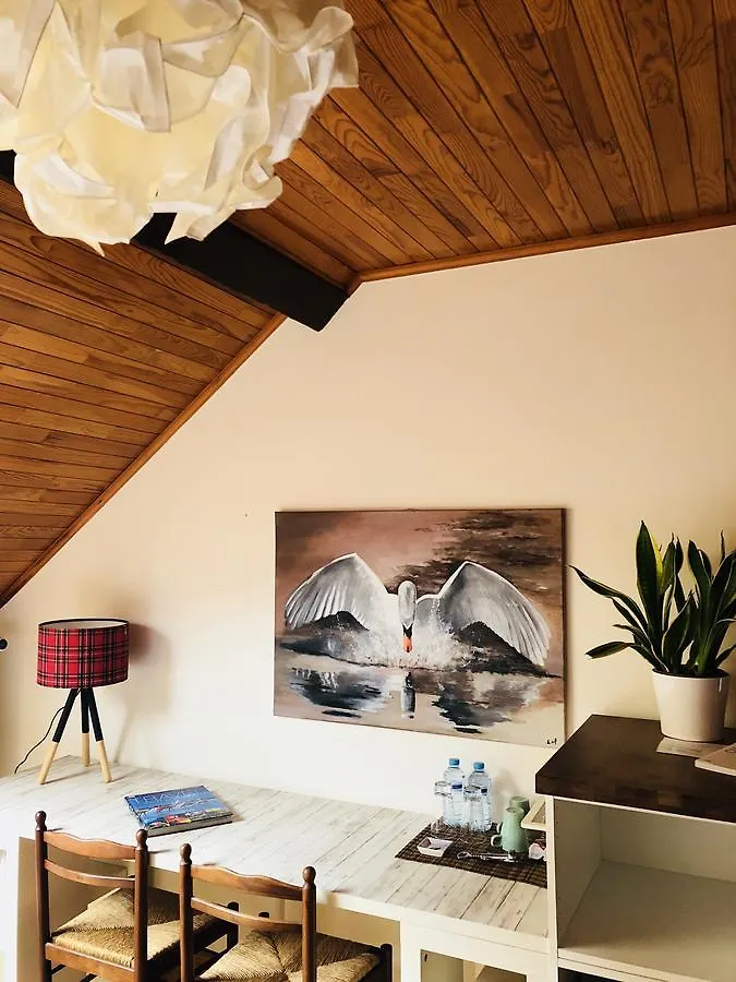 B&B Ambiorix Birch House Bruxelles