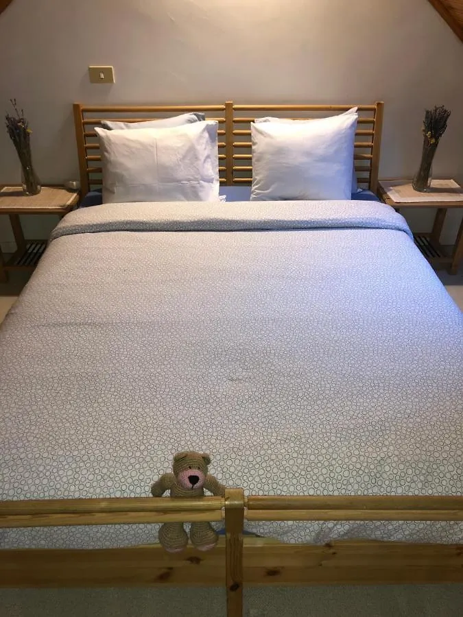 B&B Ambiorix Birch House Bruxelles 0*,  Belgique